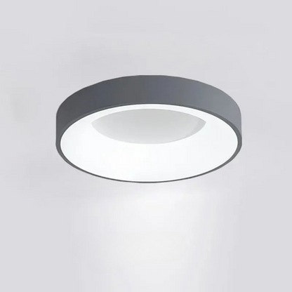 Sleek Flush Mount Ceiling Lamp for Indoor Lighting