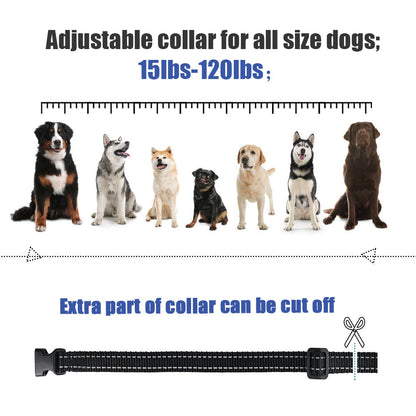 Waterproof Remote Dog Training Collar with Vibration Sound
