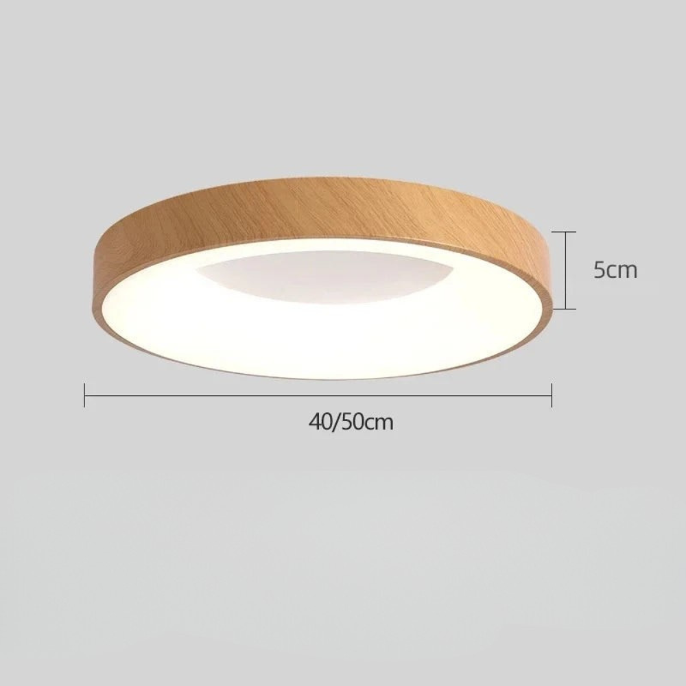 Sleek Flush Mount Ceiling Lamp for Indoor Lighting