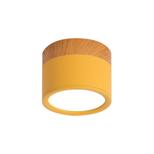 Compact Colorful Metal Ceiling Lamp with Wood Trim - Pexav