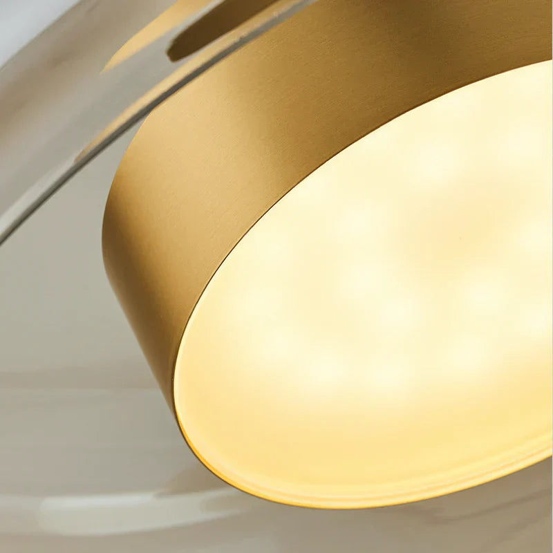 Sleek Adjustable Contemporary Ceiling Lamp Fixture