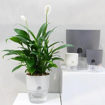 Automatic Watering Garden Pot - Pexav