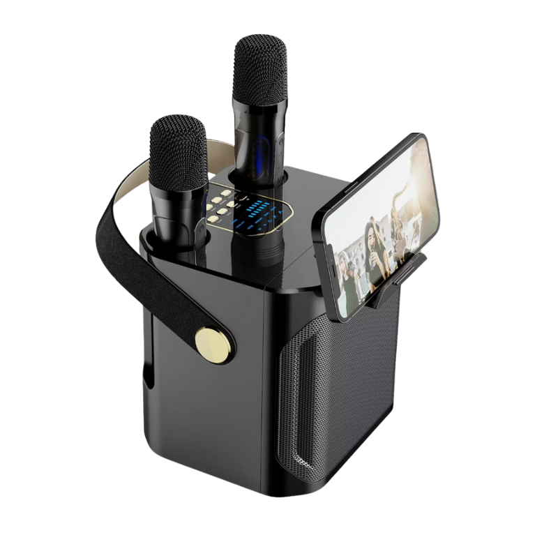 Wireless Karaoke Speaker System with Two Mics - Pexav