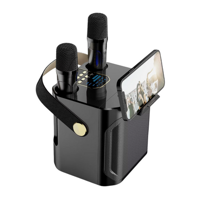 Wireless Karaoke Speaker System with Two Mics - Pexav