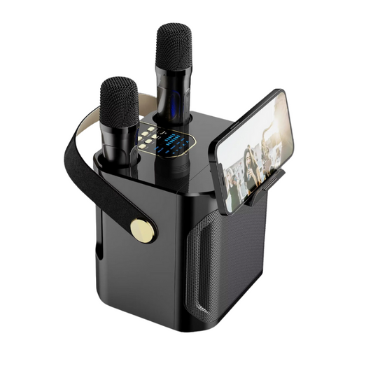 Wireless Karaoke Speaker System with Two Mics - Pexav