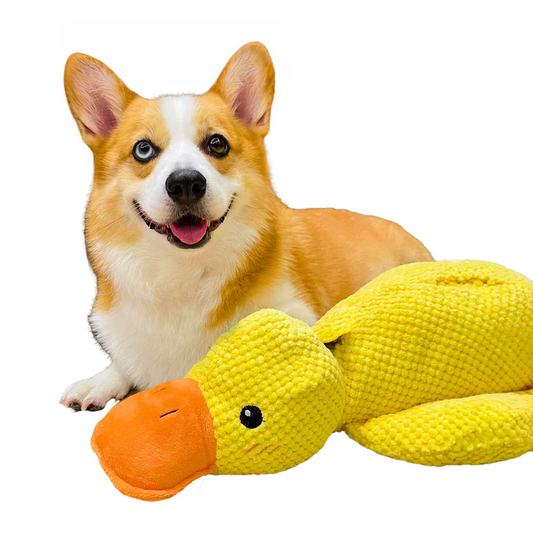 Tough Rubber Dog Toy for Fun Playtime - Pexav