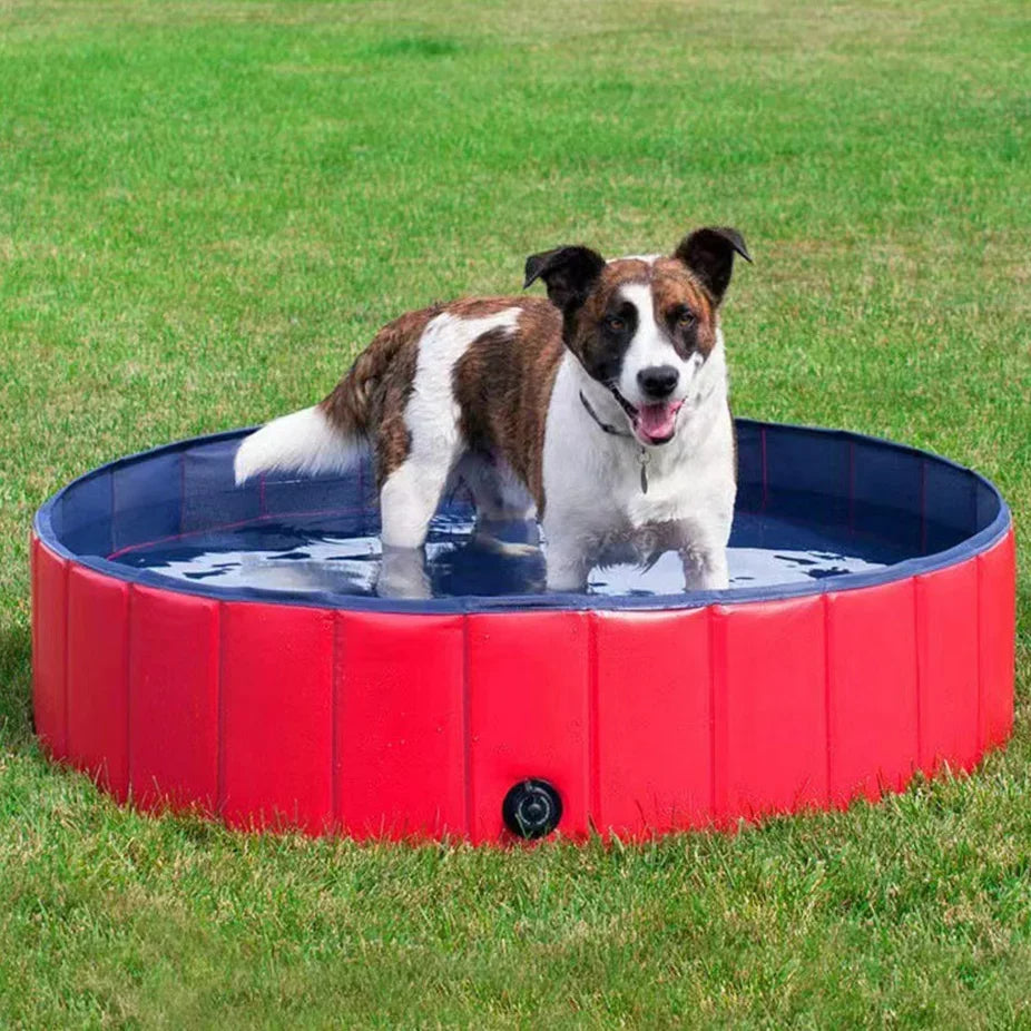 Portable Pet Swimming Pool - Pexav