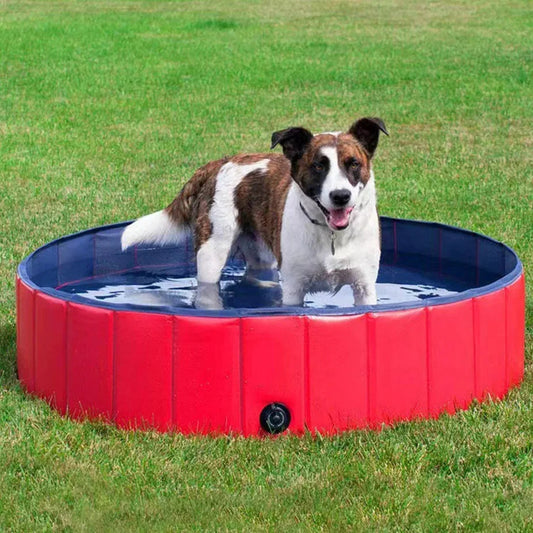 Portable Pet Swimming Pool - Pexav