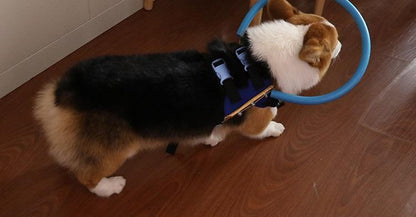 Comfortable Dog Support Vest for Blind Pets