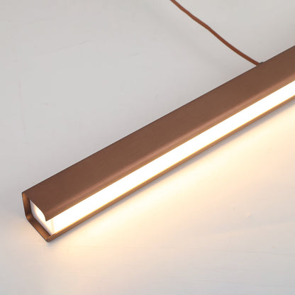 Simple Modern Adjustable LED Light Fixture