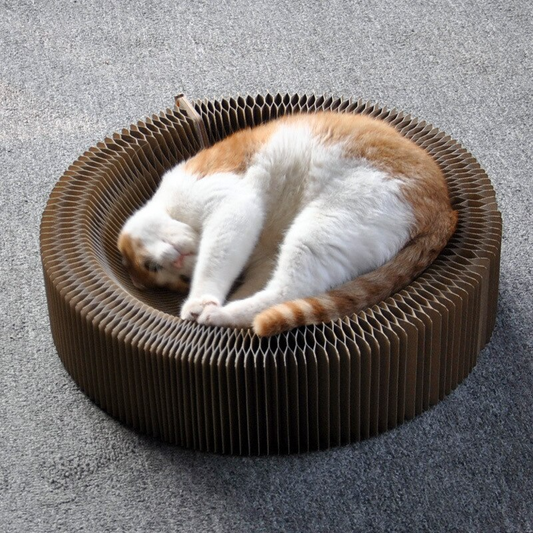 Foldable Cat Bed Scratcher Lounge - Pexav