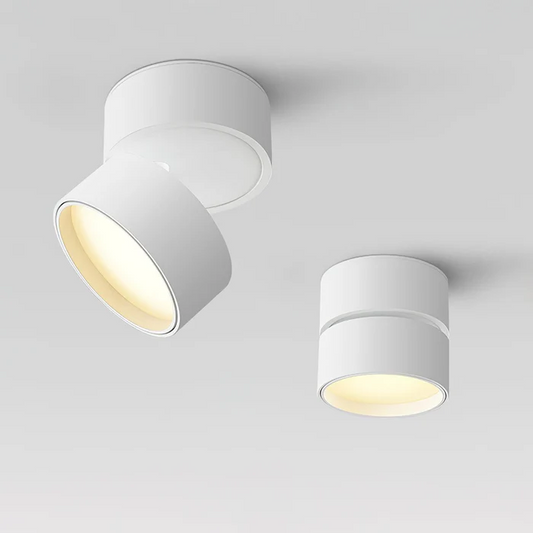 Flexible 360 Degree Pendant Lamp - Pexav
