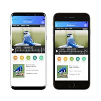 Wireless Bird Feeder Camera with HD Video and Motion Sensor