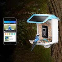 Wireless Bird Feeder Camera with HD Video and Motion Sensor