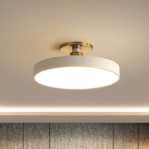 Sleek Contemporary LED Ceiling Lamp