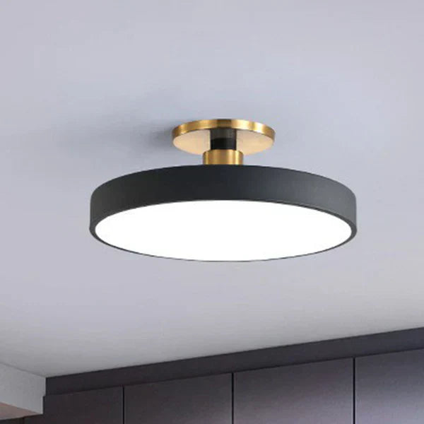 Sleek Contemporary LED Ceiling Lamp