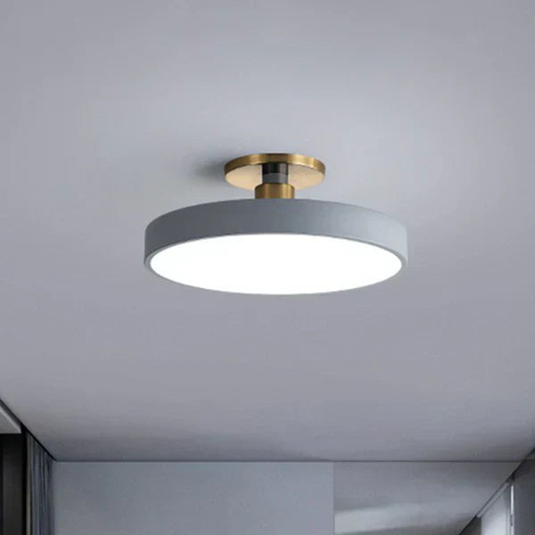 Sleek Contemporary LED Ceiling Lamp