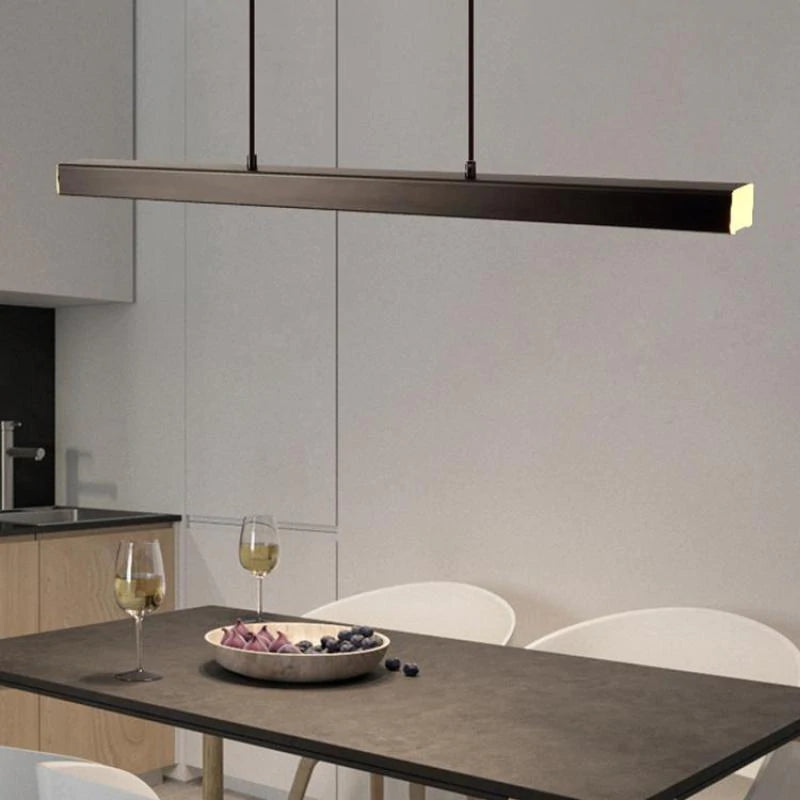 Simple Modern Adjustable LED Light Fixture