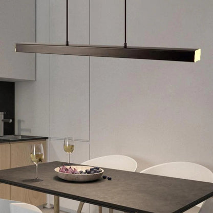 Simple Modern Adjustable LED Light Fixture