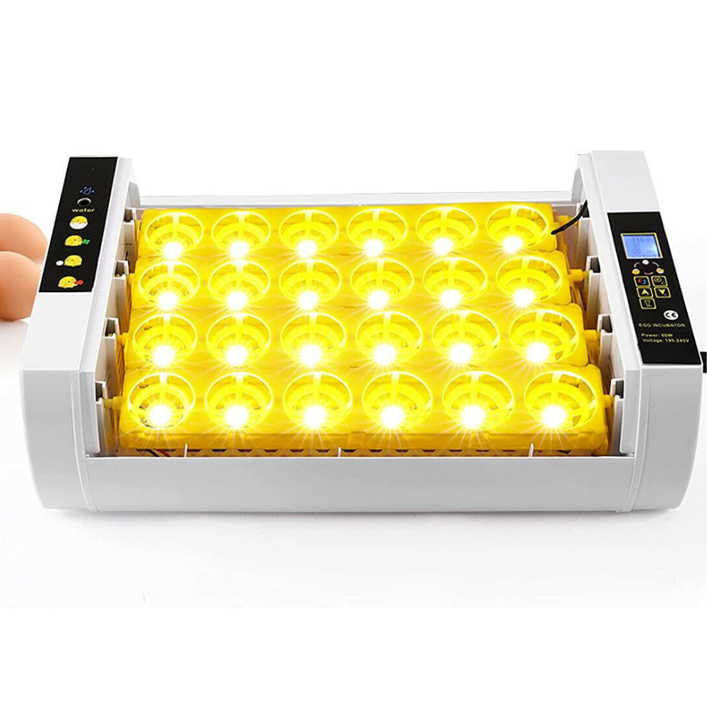 Big Automatic 24 Eggs Incubator for Chicken and Quail
