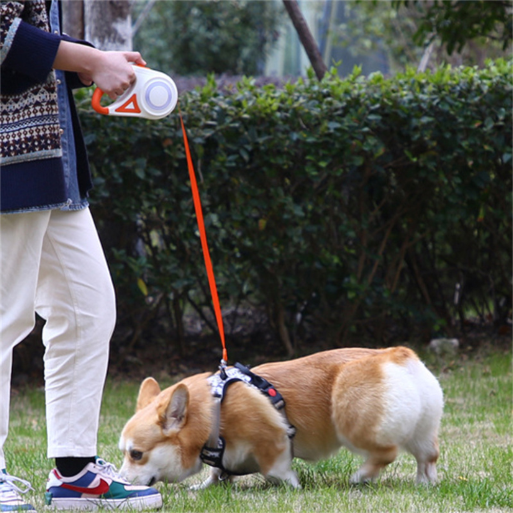 Adjustable Pet Leash with Flashing Light