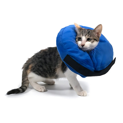 Comfy Pet Recovery Collar Inflatable Dog Cone