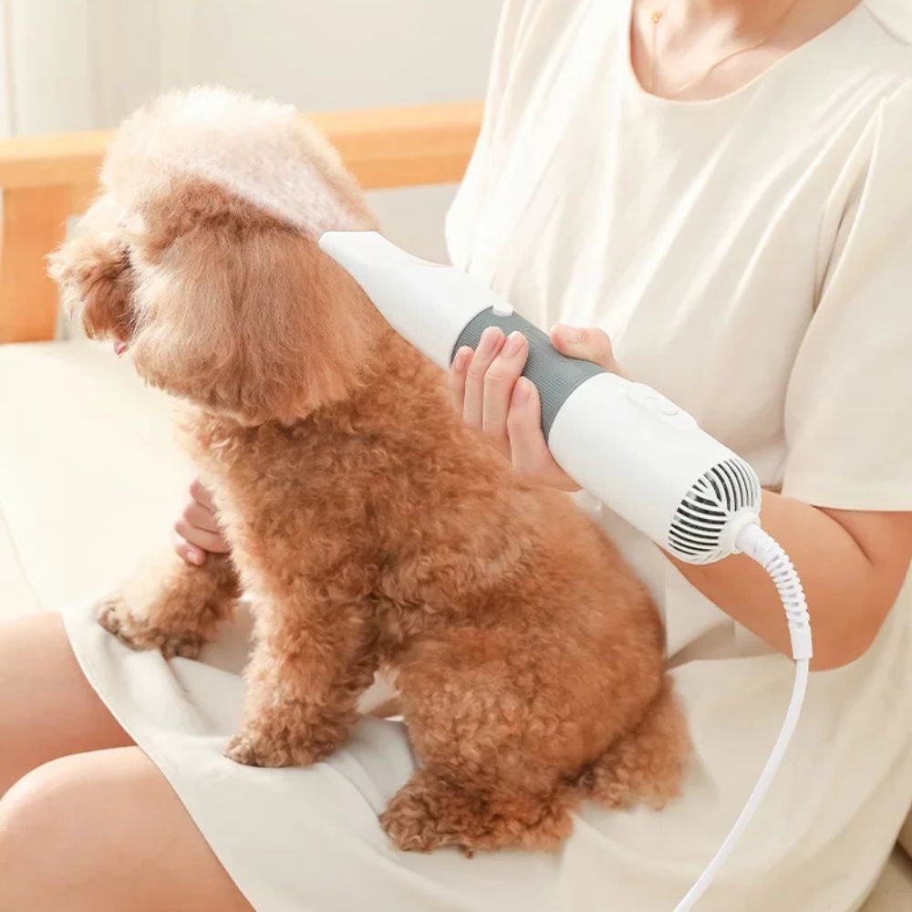 Portable Pet Hair Dryer and Grooming Tool