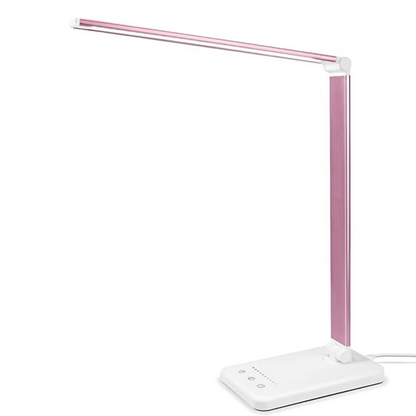 Bright Contemporary LED Desk Lamp
