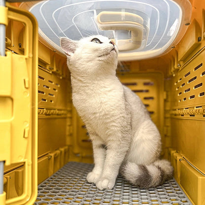Portable Pet Carrier Box for Easy Travel - Pexav