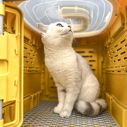 Portable Pet Carrier Box for Easy Travel - Pexav