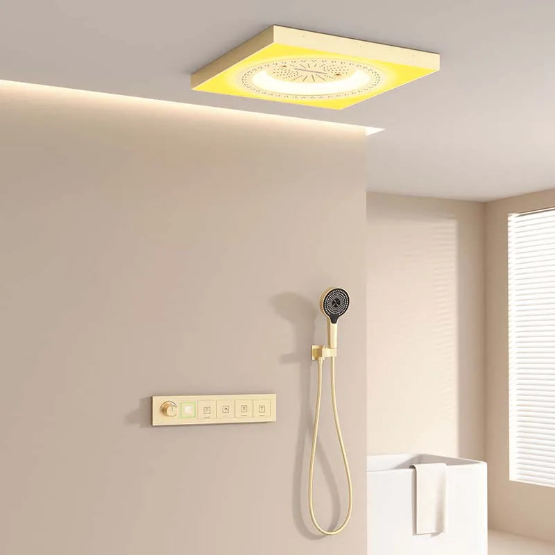 Luxury LED Ceiling Mount Shower Light Set