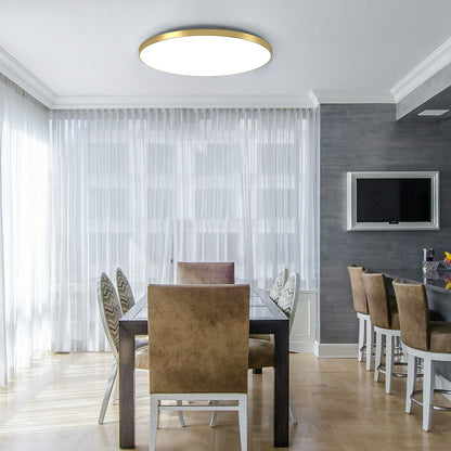 Sleek Circular LED Ceiling Fixtures Flush Mount Light