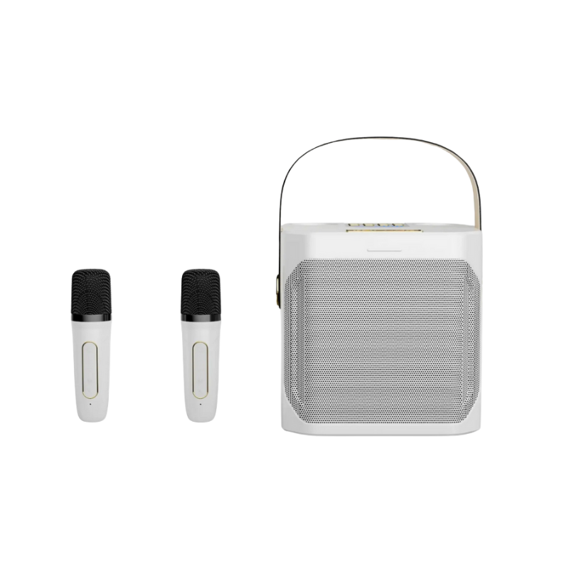 Wireless Karaoke Speaker System with Two Mics