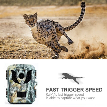 Small Animal Trail Camera with Full HD Night Vision