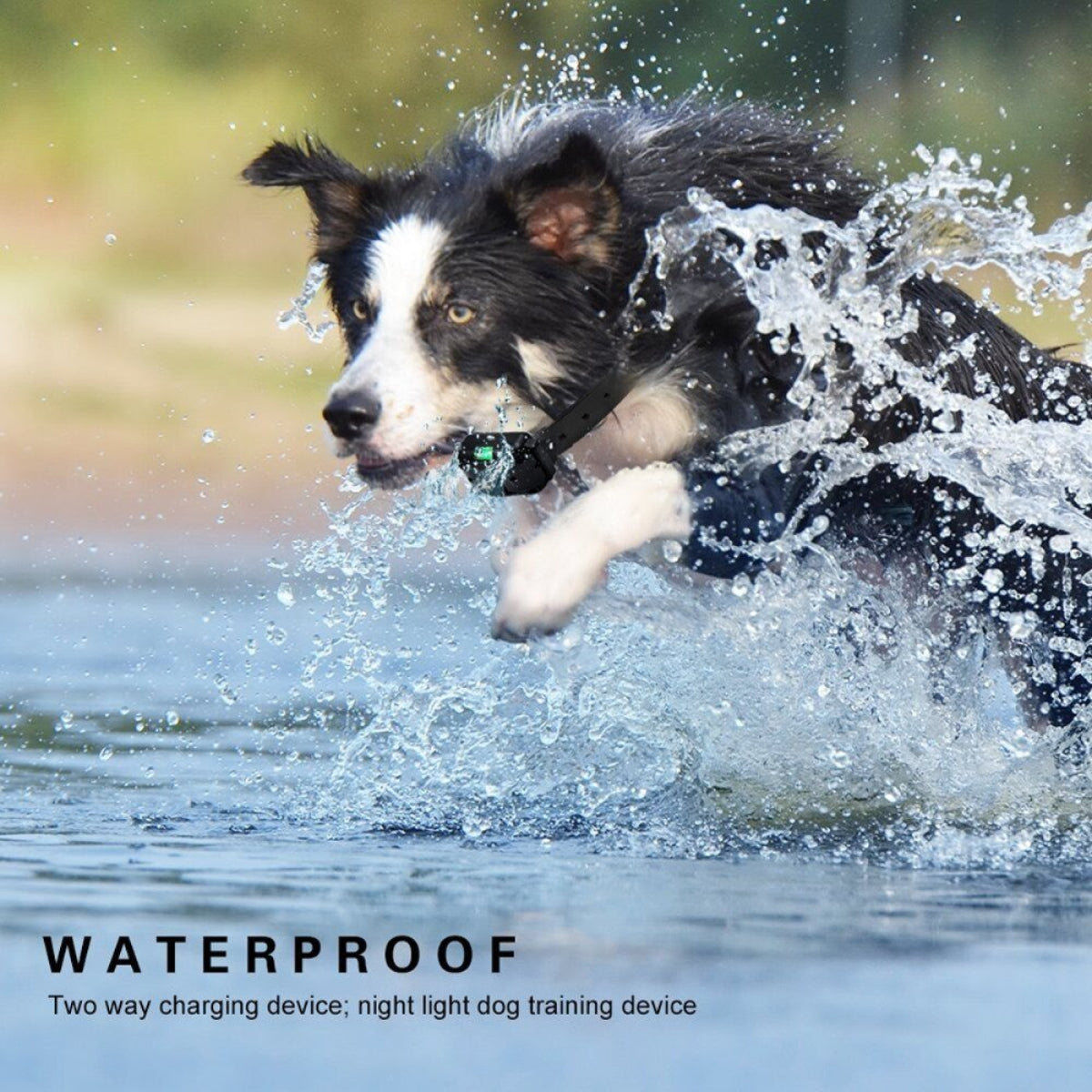 Waterproof Rechargeable Dog Shock Collar