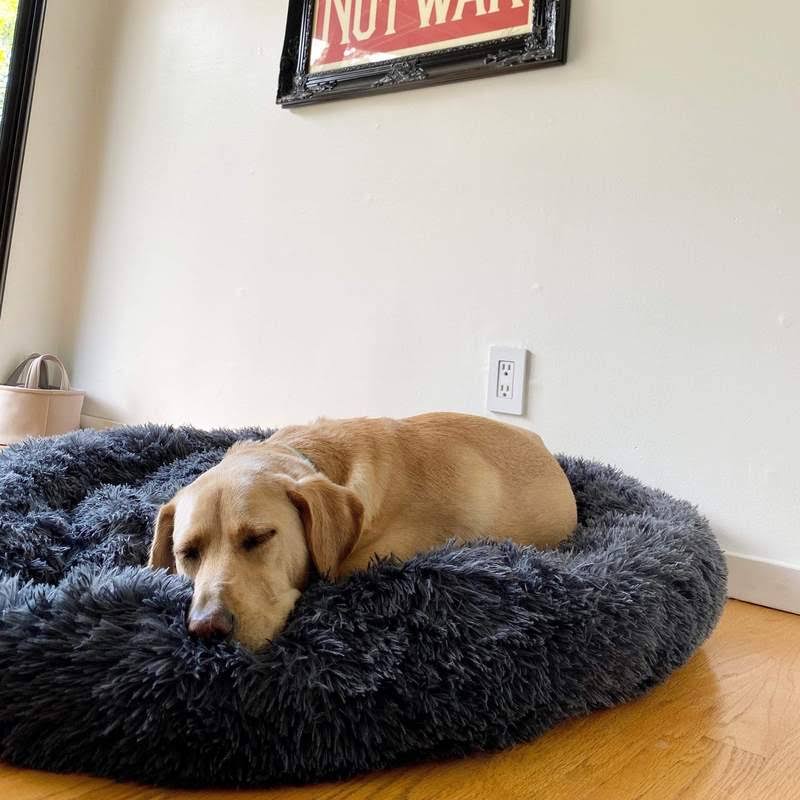 Comfortable Supportive Dog Donut Bed