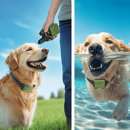 Advanced 300m Dog Training Collar with LCD Remote