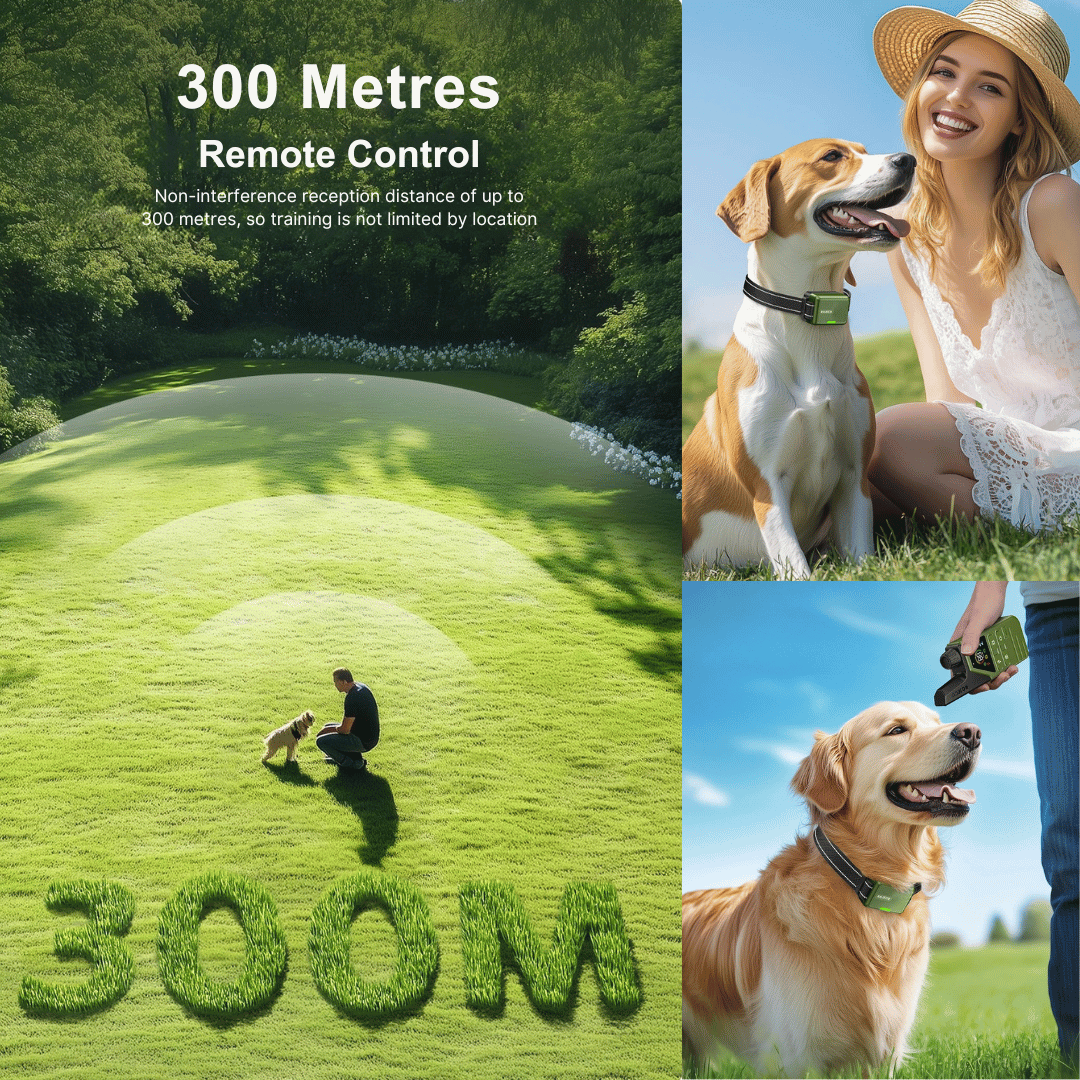 Advanced 300m Dog Training Collar with LCD Remote