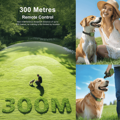 Advanced 300m Dog Training Collar with LCD Remote