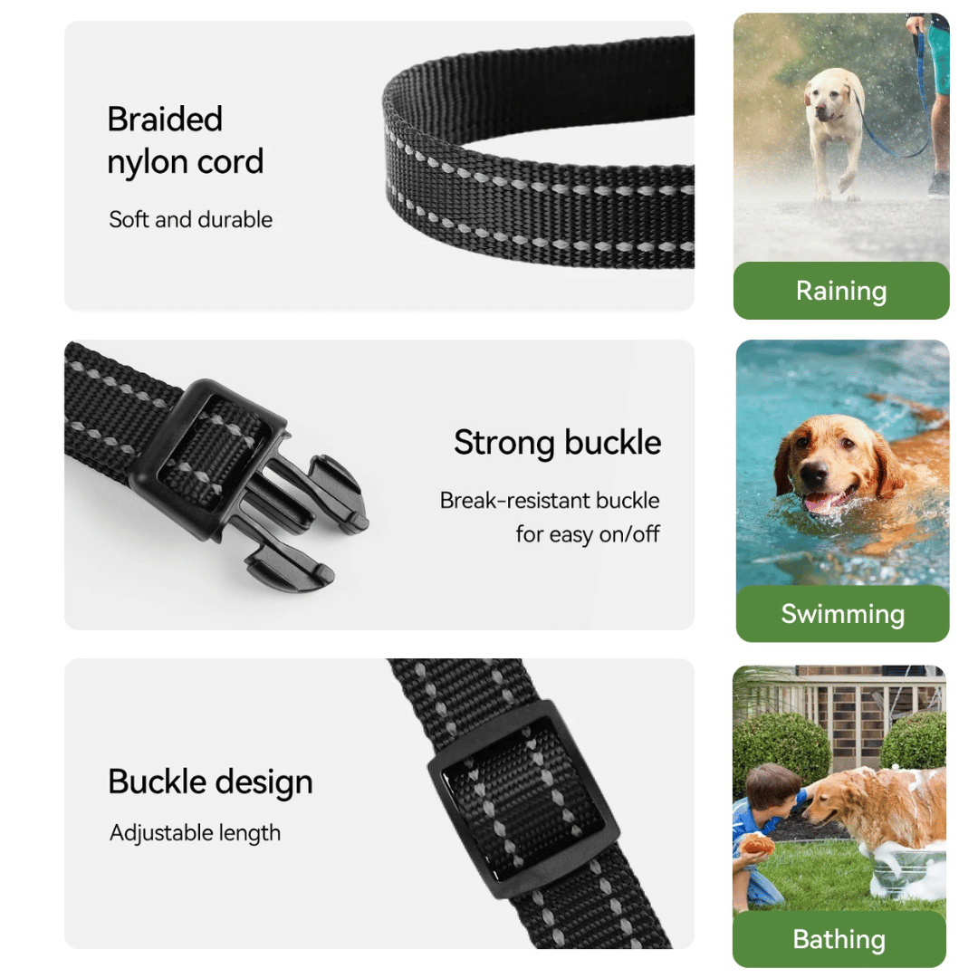 Advanced 300m Dog Training Collar with LCD Remote