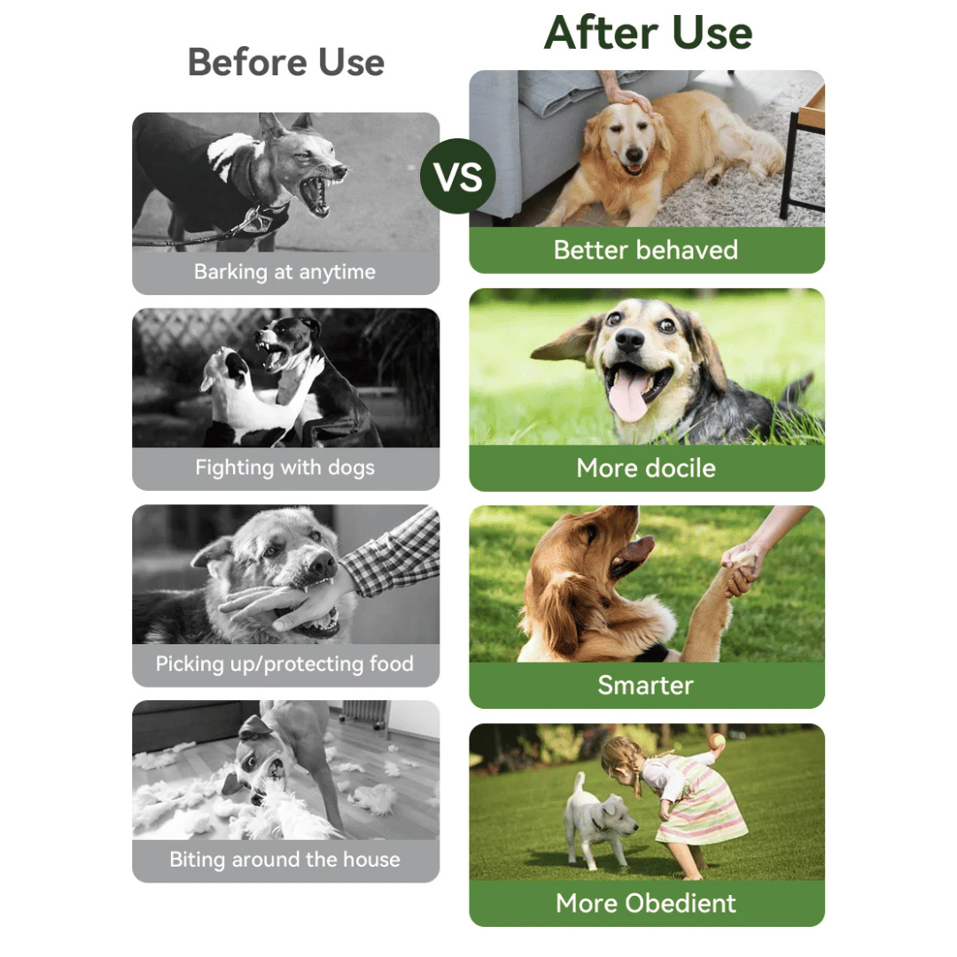 Advanced 300m Dog Training Collar with LCD Remote