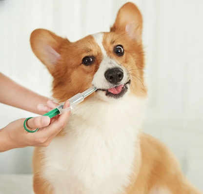 Simple Pet Oral Medication Syringe - Pexav
