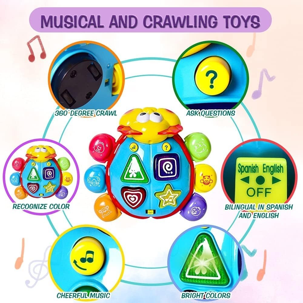 360° Musical Crawling Turtle Toy with Light Up, Bilingual Learning, Animal Sounds, Safe for Months 6+