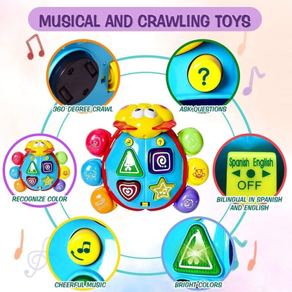 360° Musical Crawling Turtle Toy with Light Up, Bilingual Learning, Animal Sounds, Safe for Months 6+