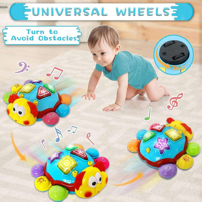 360° Musical Crawling Turtle Toy with Light Up, Bilingual Learning, Animal Sounds, Safe for Months 6+