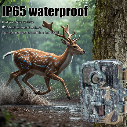 Compact 16MP Wildlife Trail Camera with Motion Detection