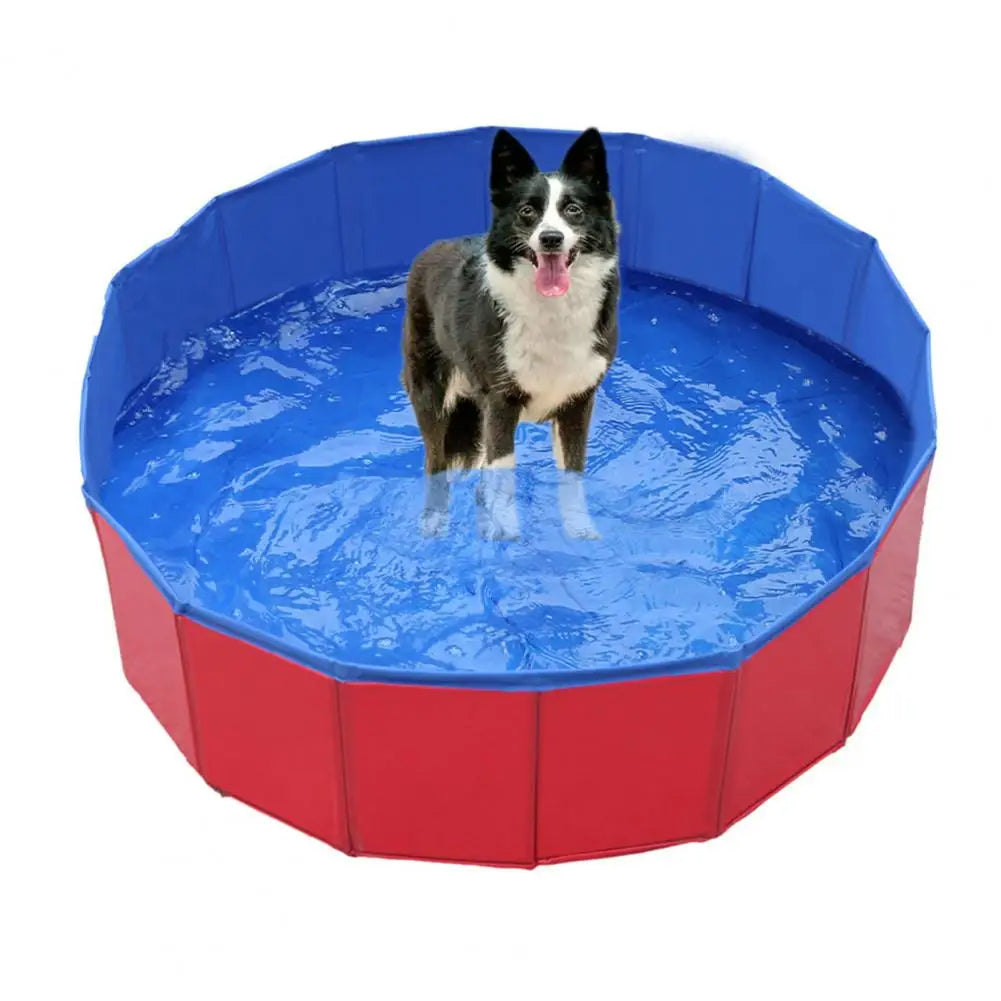 Portable Pet Swimming Pool