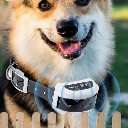 Invisible Underground Pet Containment Wire Fence System