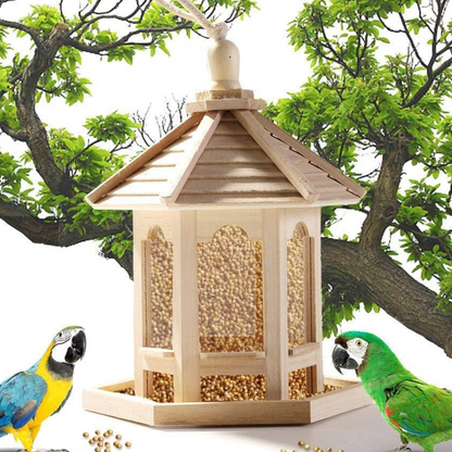 Clear Glass Backyard Bird Feeder - Pexav