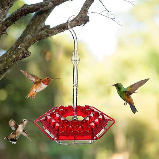 Colorful Outdoor Hanging Bird Feeder with Ant Trap - Pexav